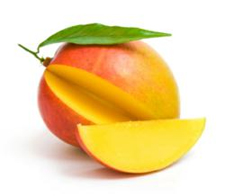 How to Loose Weight Fast
