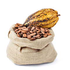 natural cacao
