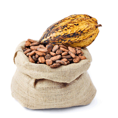 natural cacao natural cacao